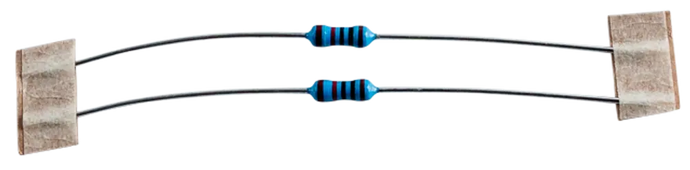 Zwei Widerstände mit blauen Ringen, befestigt an isolierten Enden, zur Verwendung in Wärmepumpen, hergestellt von Wolf.